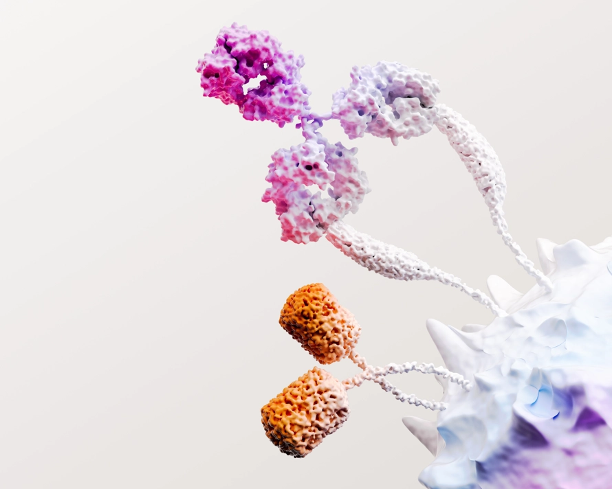 GSK Poland - O firmie