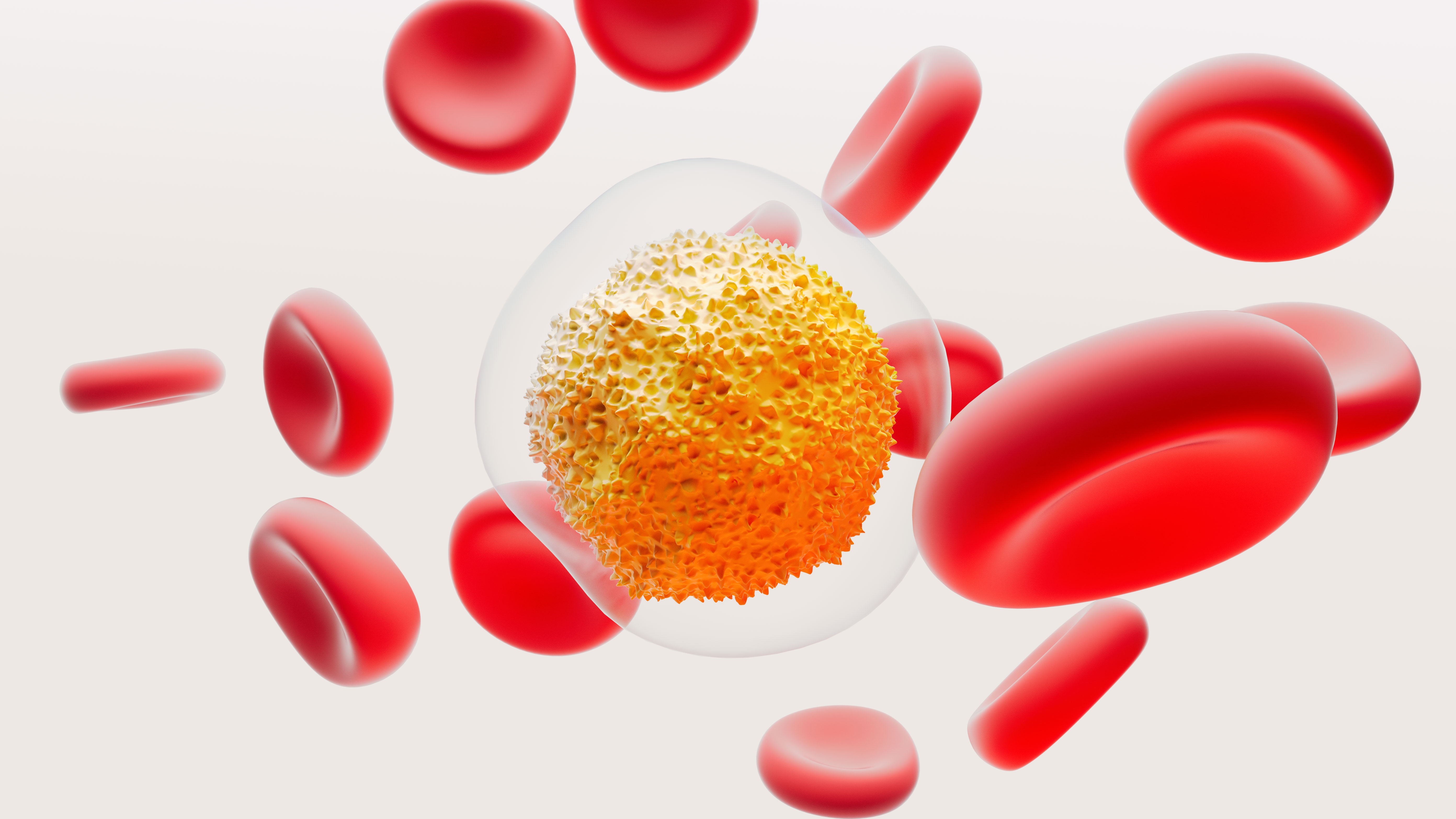 GSK w Polsce - Nasze obszary produktowe