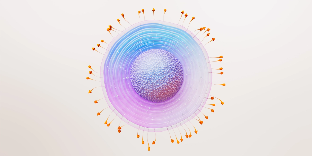GSK Poland - Produkty