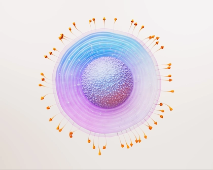 GSK Poland - Produkty