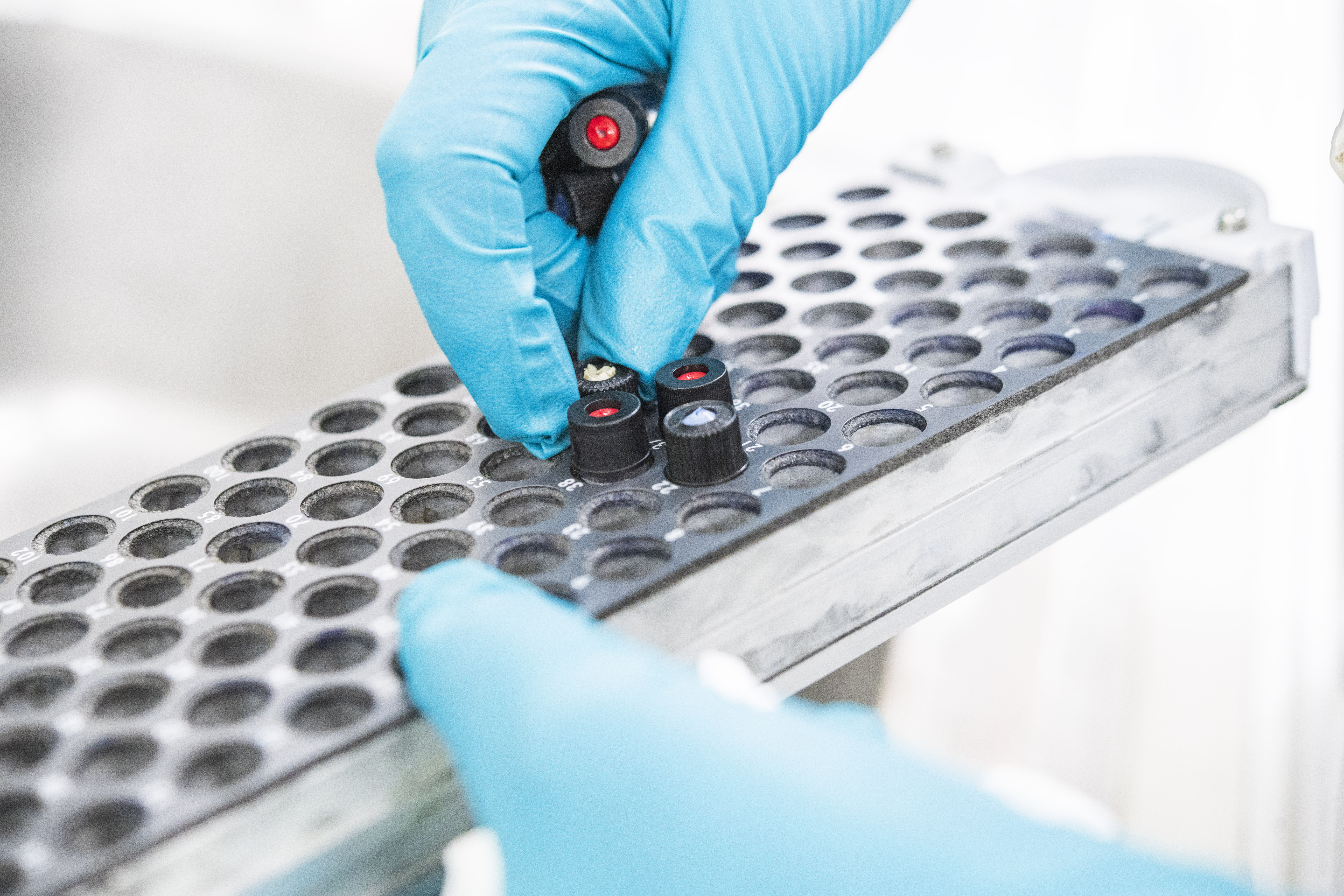 GSK Standardy etyczne